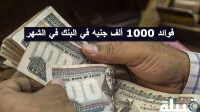 فوائد 1000 ألف جنيه