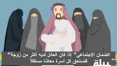 الضمان الاجتماعي