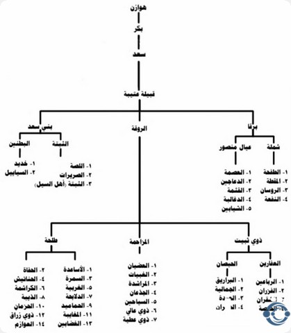 العشيوي من اي قبيله