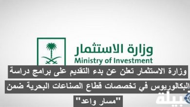 دراسة البكالوريوس في تخصصات قطاع الصناعات البحرية