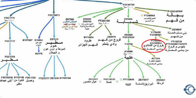 قبيلة الشلاوى